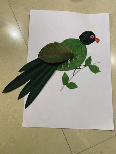 WhatsApp-Image-2021-03-15-at-10.52.32-AM-4