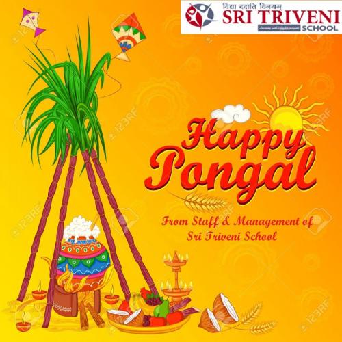 Happy Pongal religious traditional festival.